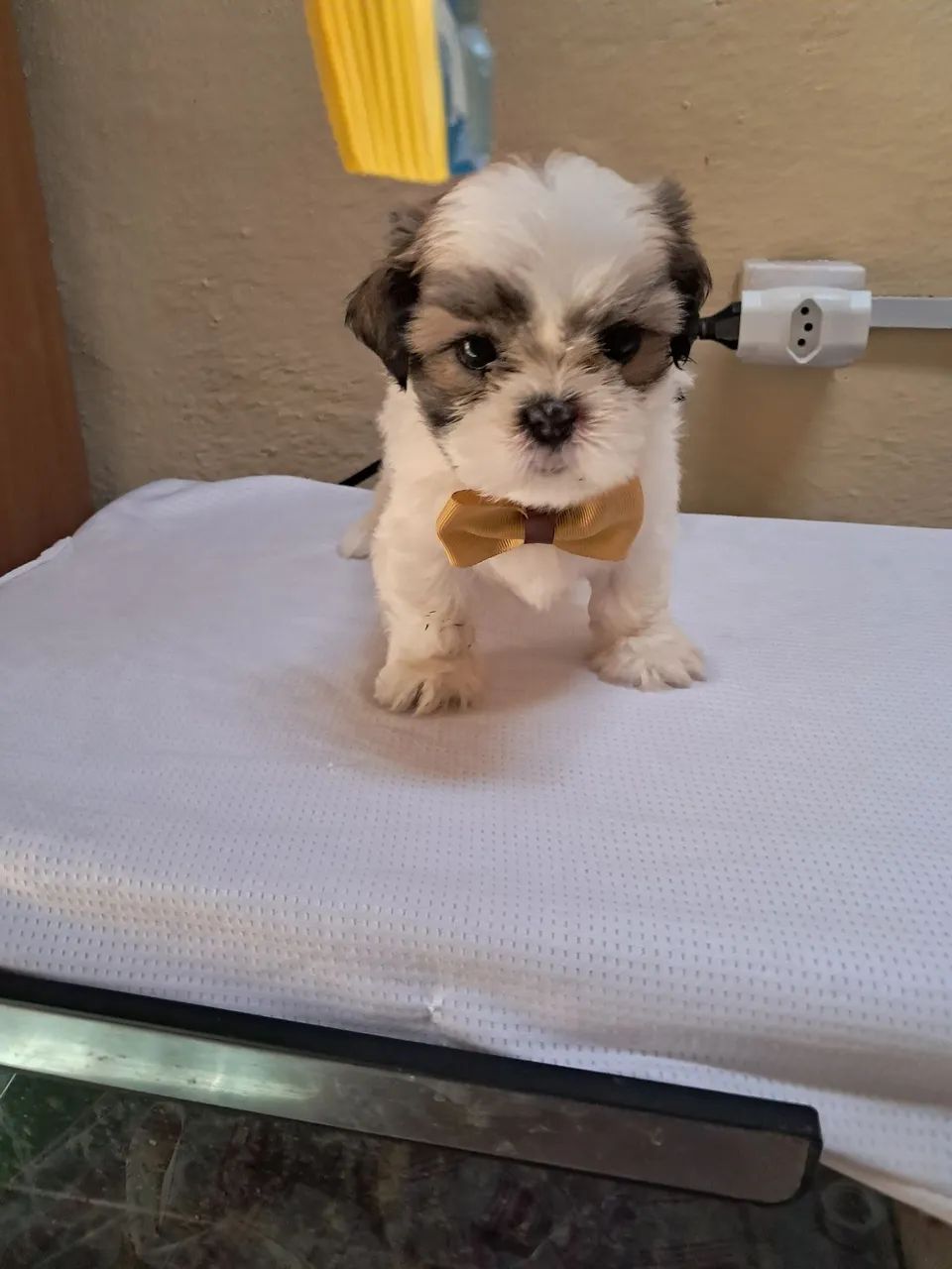 Vende-se  - Foto 3