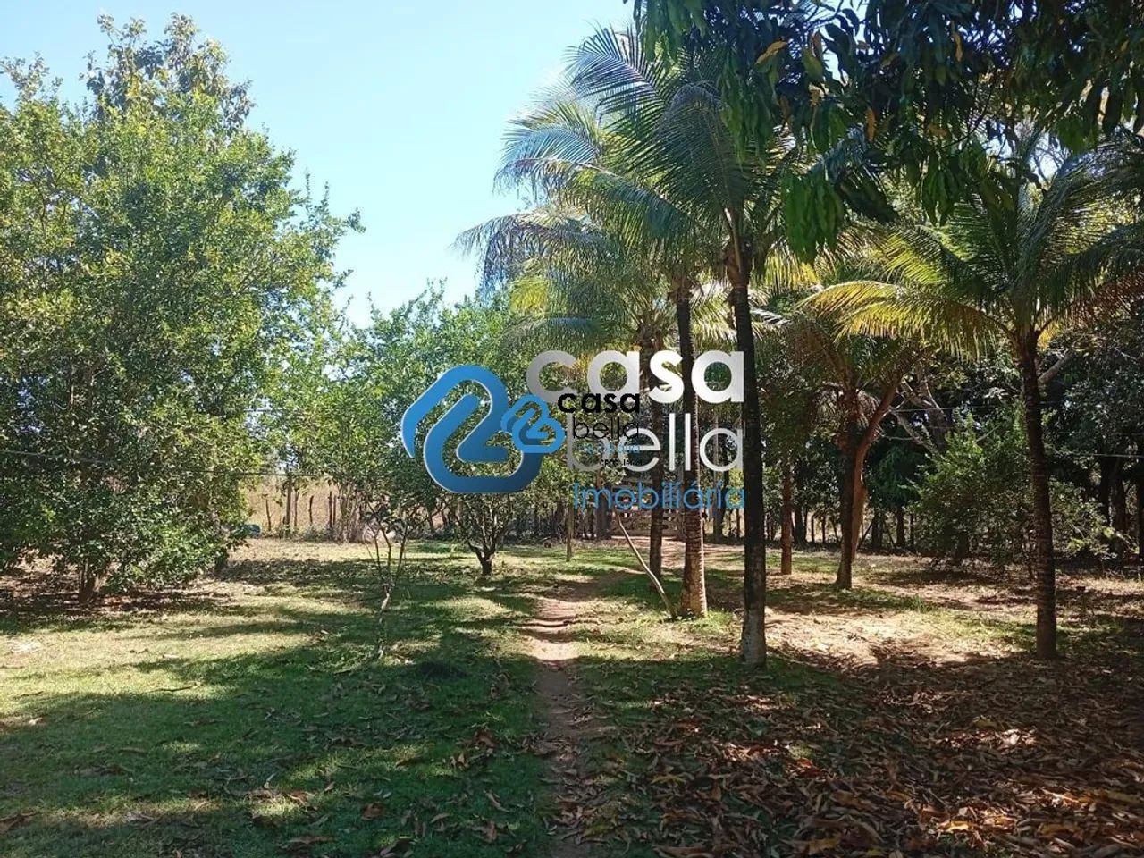CHÁCARA A VENDA - TAQUARUÇU GRANDE PALMAS/TO - Foto 3