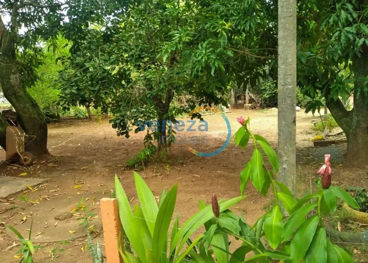 Chácara-Imóvel-Rural com 3 quartos à venda por R$ 750000.00, 2100.00 m2 - RURAL - JATAIZIN - Foto 5