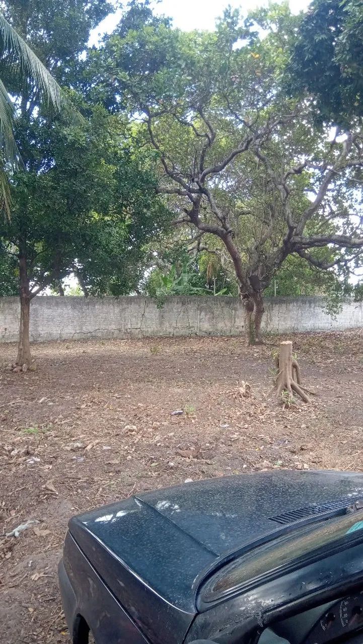 serviços em gerais - Foto 5