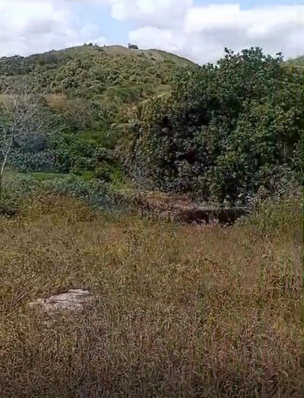 Terreno grande com água!!! Urgente - Foto 2