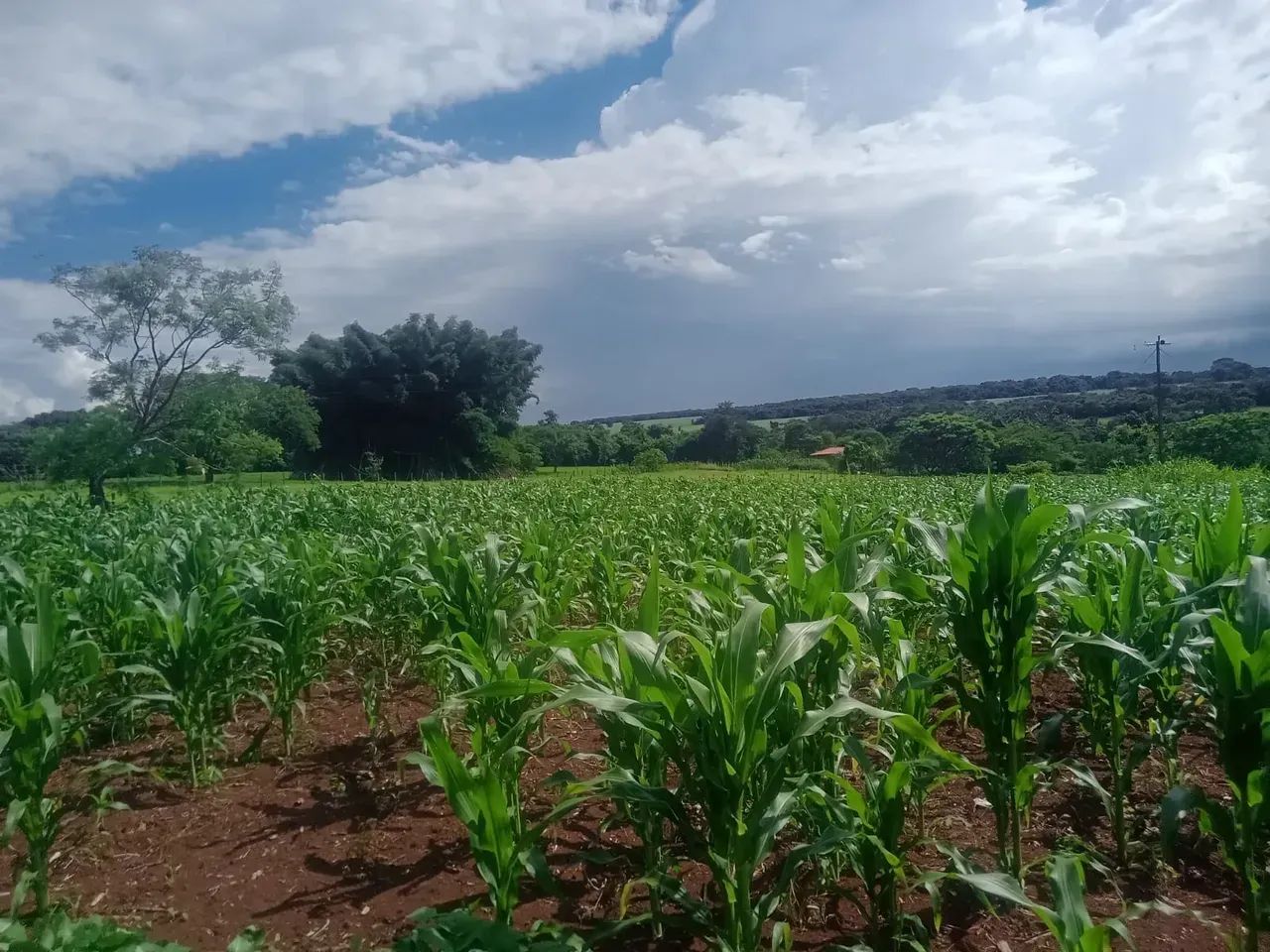 chácara Bela vista
