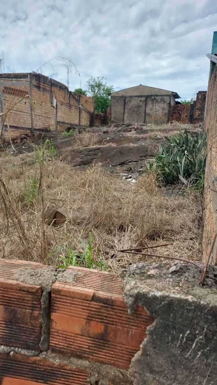 Terreno no Setor 12 - Foto 4