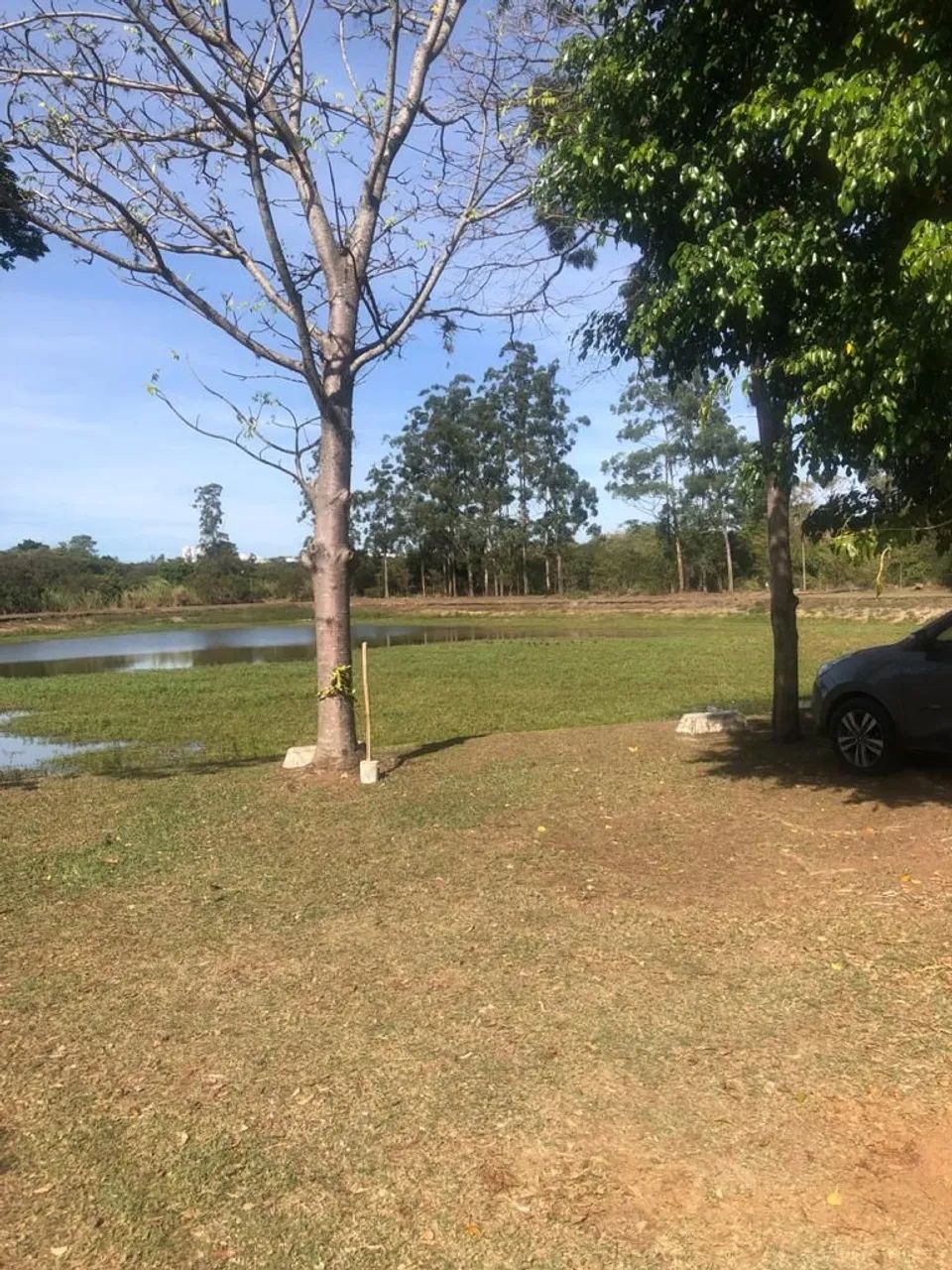 área - Cidade Universitária - Campinas - Foto 4