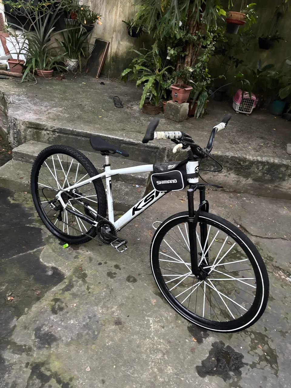 Ksw branca aro 29
