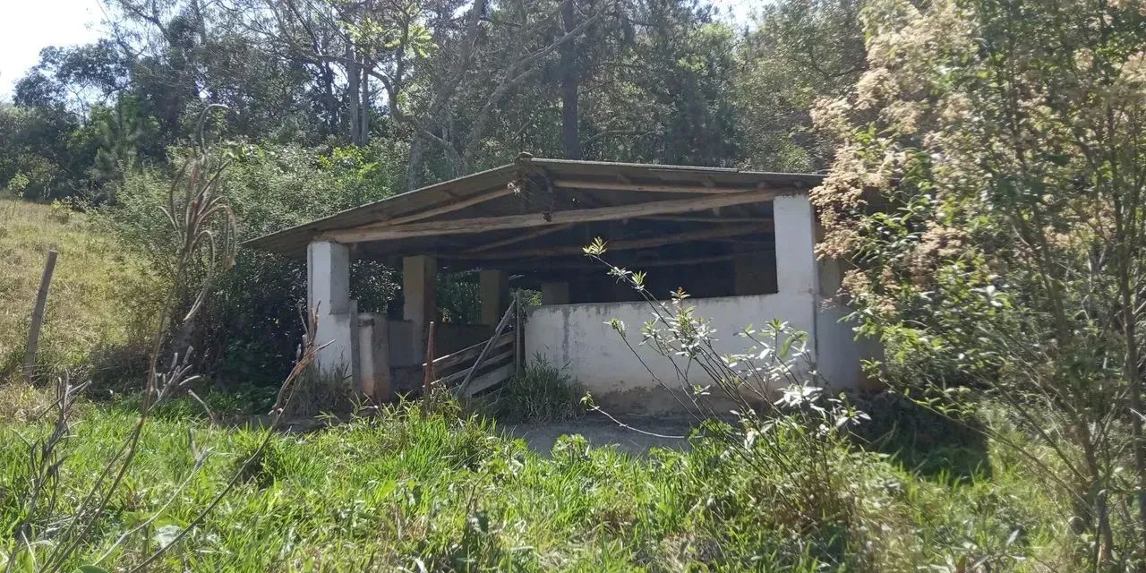 Imóvel para venda possui 65000 metros quadrados em Área Rural de Pinhalzinho - Pinhalzinho - Foto 12