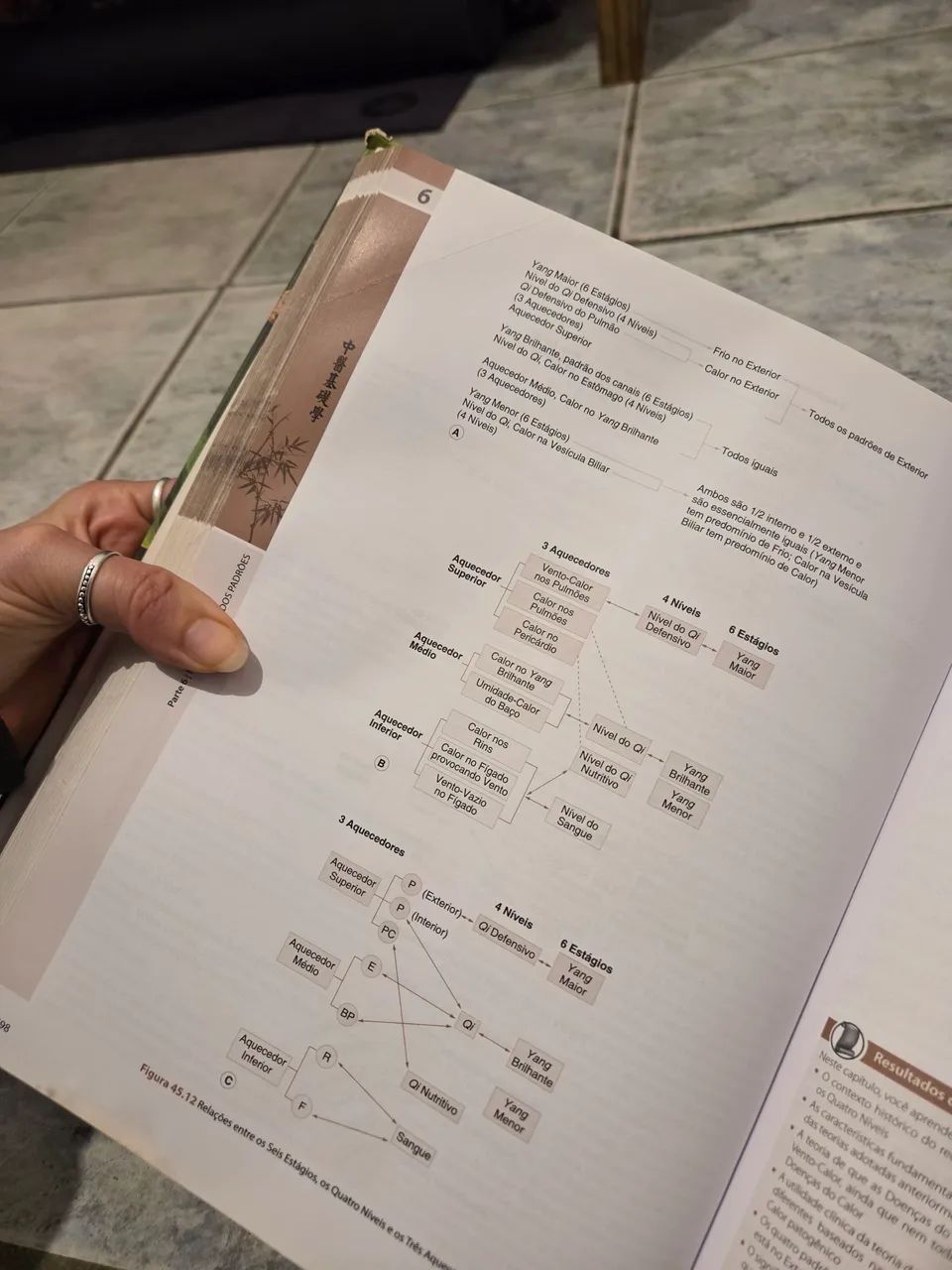 Livro os fundamentos da medicina chinesa  - Foto 2