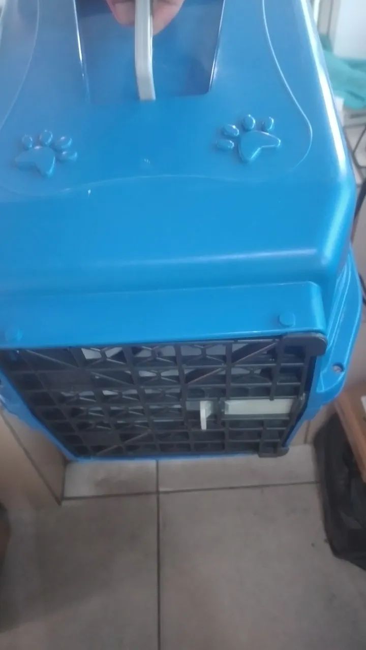 Transporte pra pets  - Foto 4