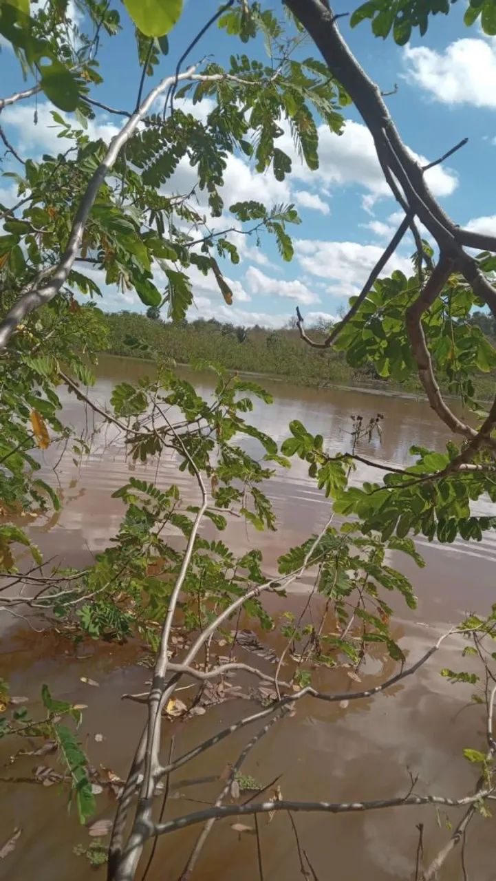 Fazenda Sertão Verde - MA, 72 ha - Foto 5
