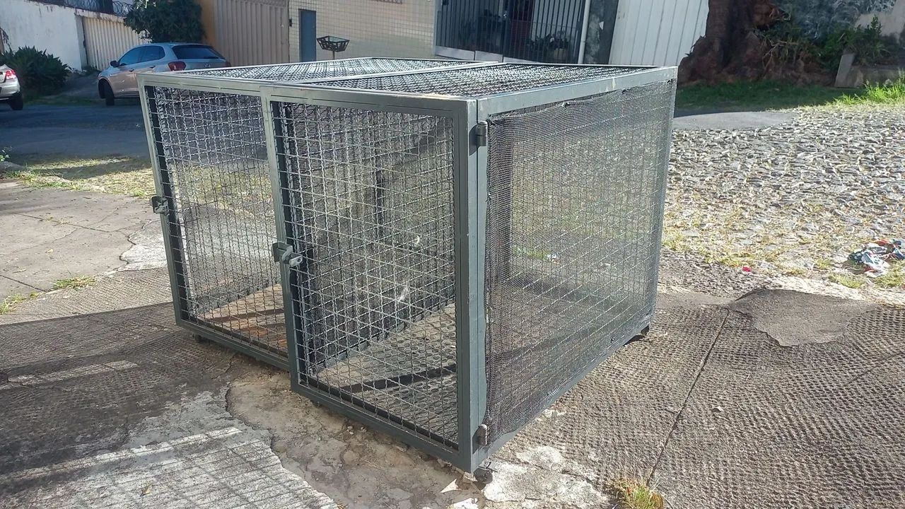 Gaiola para transporte com rodas 80x60x100 - Foto 2