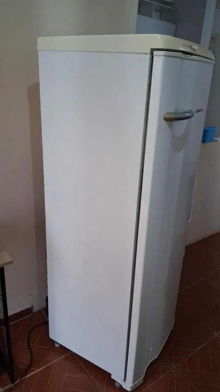 Geladeira Electrolux Completa - Foto 5