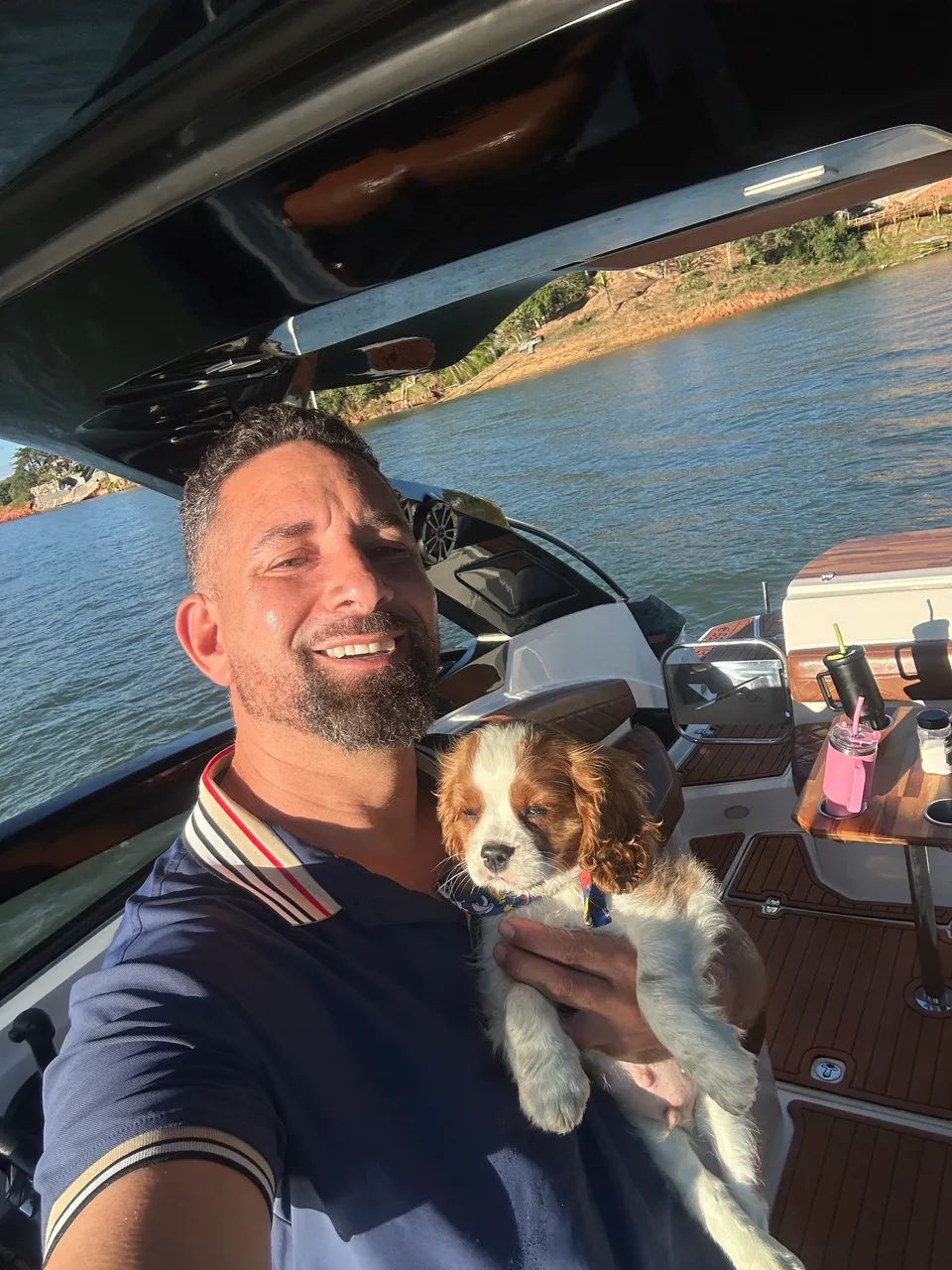 Cavalier king charles  - Foto 3