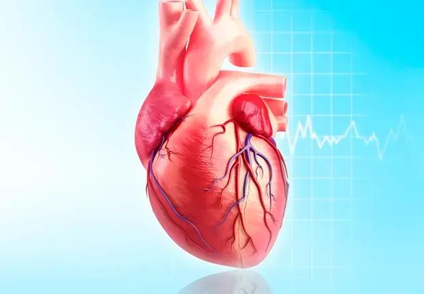 EXAMES CARDIOLOGICOS 
