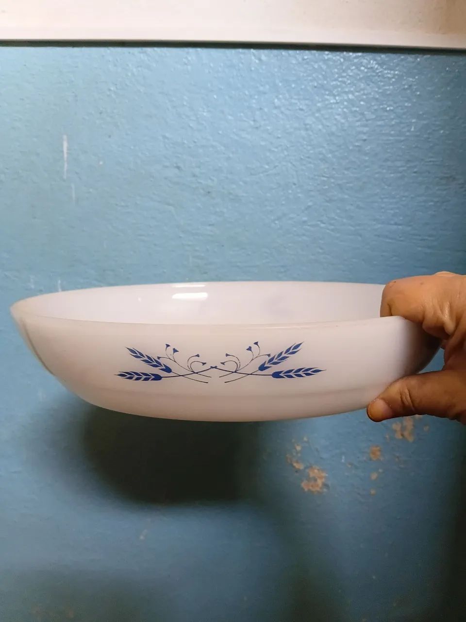 Tijela colorex 