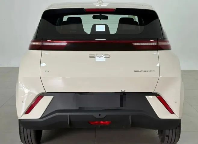 BYD Dolphin Mini (Elétrico) 2026 - Foto 4