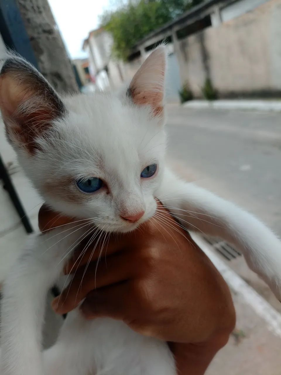 Doação  - Foto 3