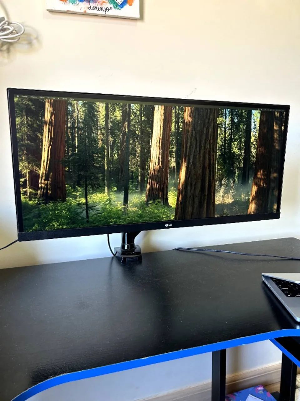 Monitor LG UltraWide 29 polegadas - 75Hz HDR10 + Braço Articulado