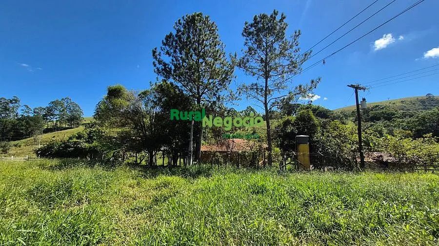 SÍTIO FORMADO COM FÁCIL ACESSO EM LAGOINHA-SP - Foto 4