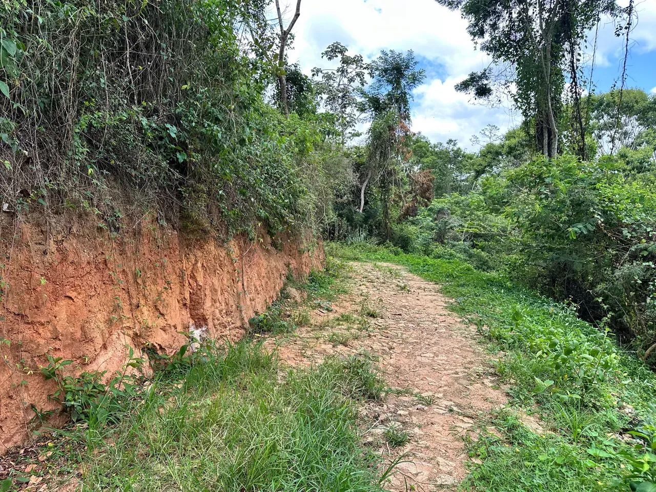 Lotes De 10X30 Na Serra De Pacoti, As Margens Da Ce 065, 3 Minutos Do Centro! Cód. KT58SI - Foto 12