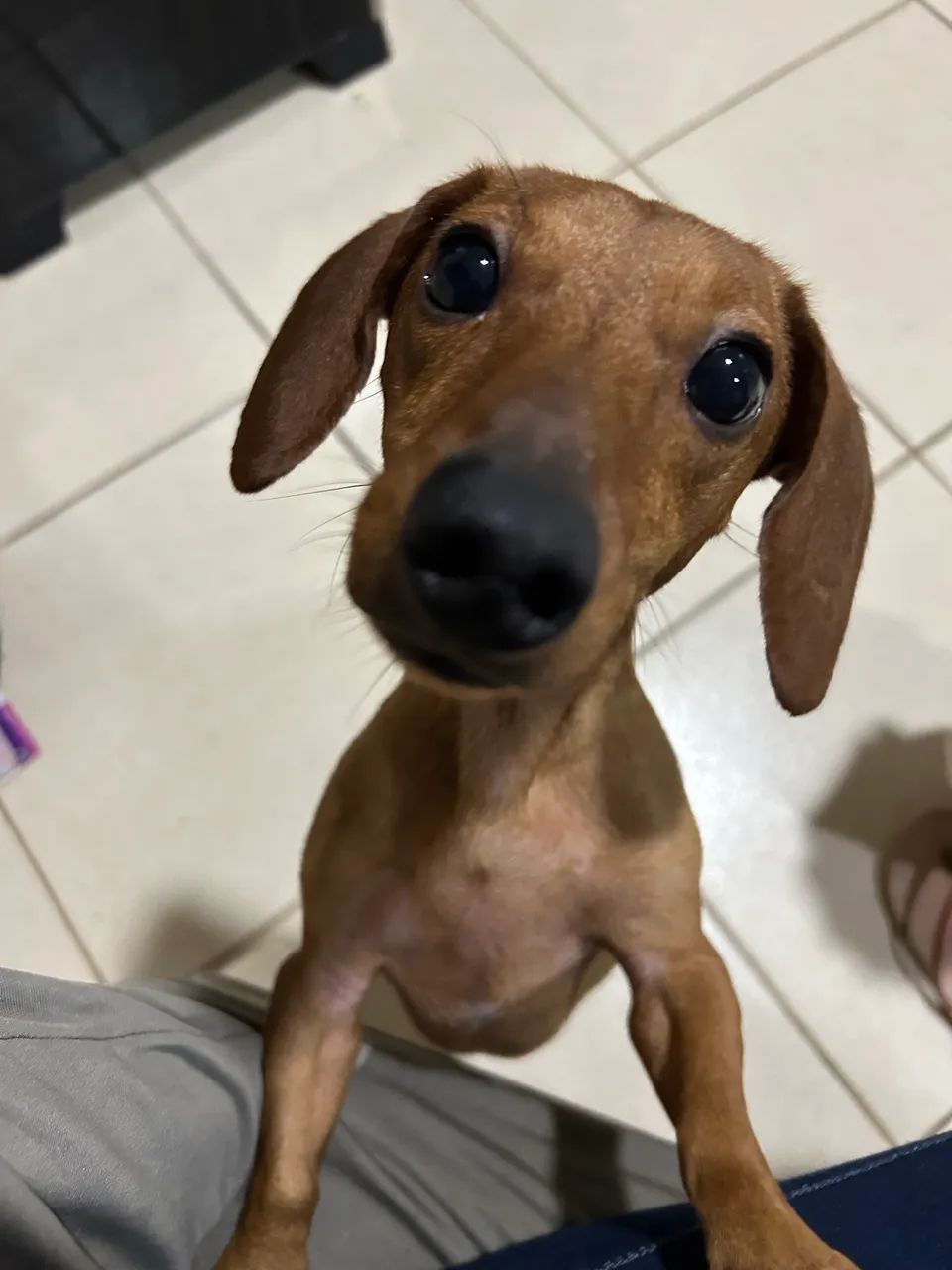 Doação 