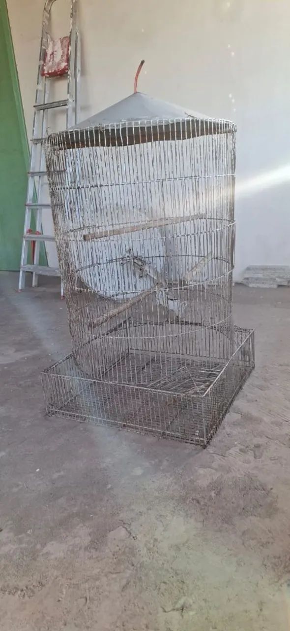 Gaiola Grande - Foto 2