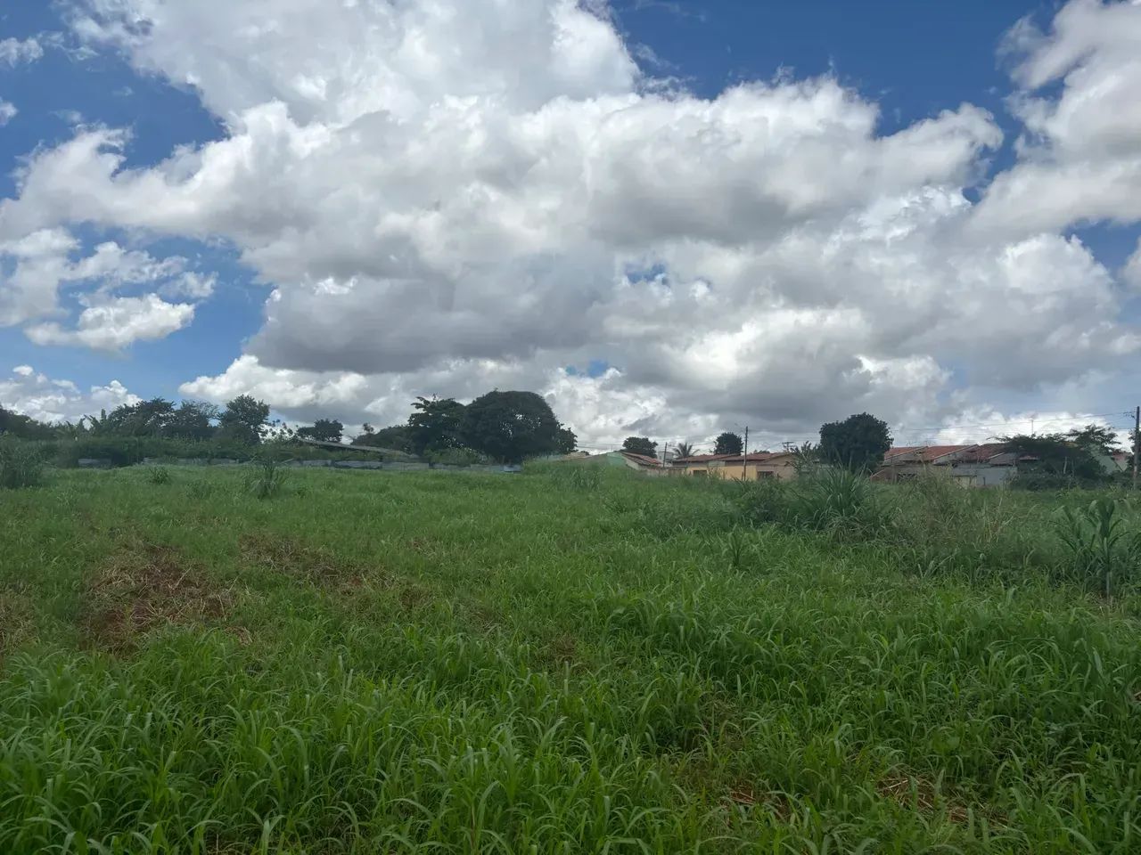Chacara em Goianira-Go - Foto 2