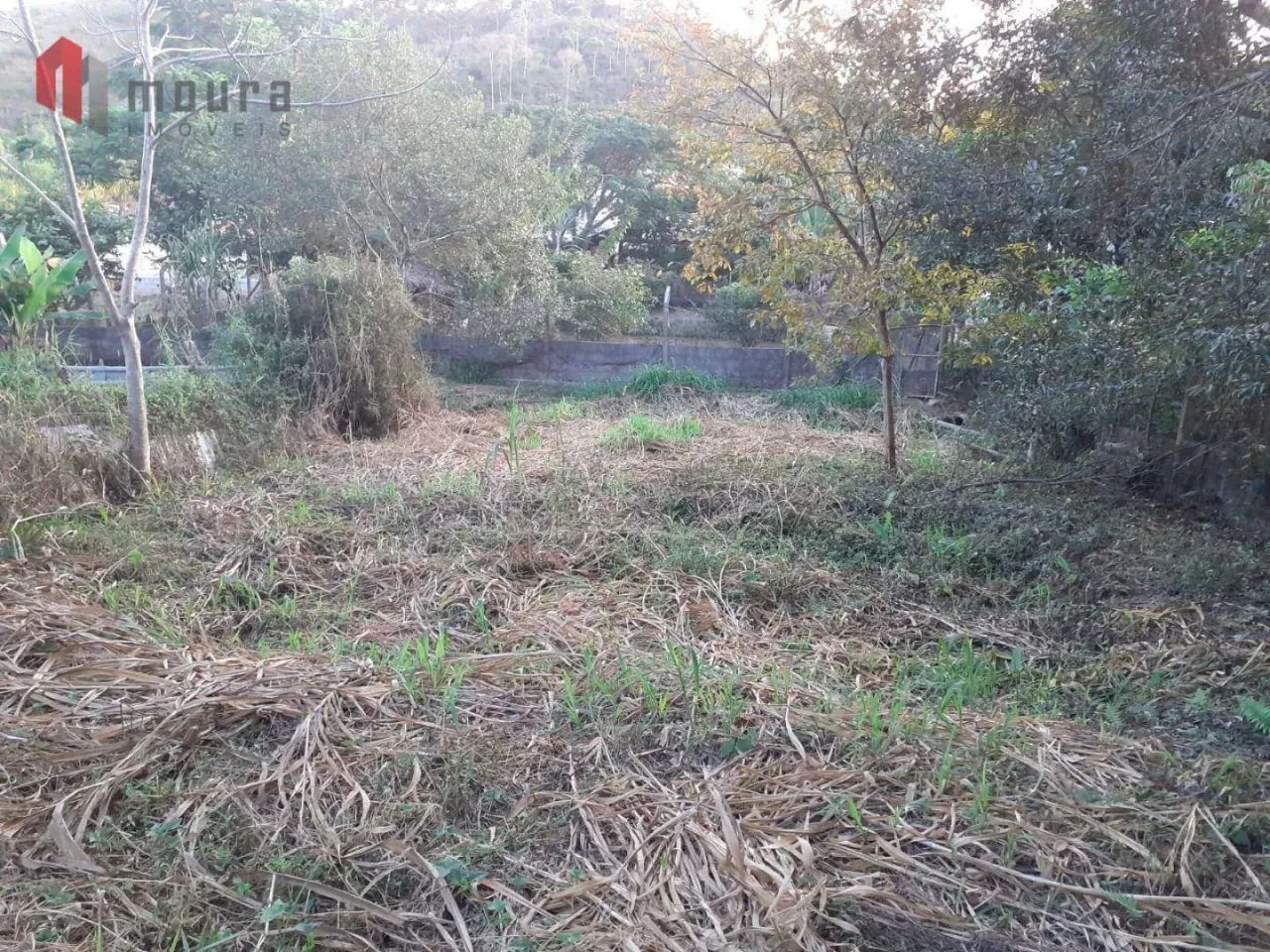 Terreno a venda - Foto 3