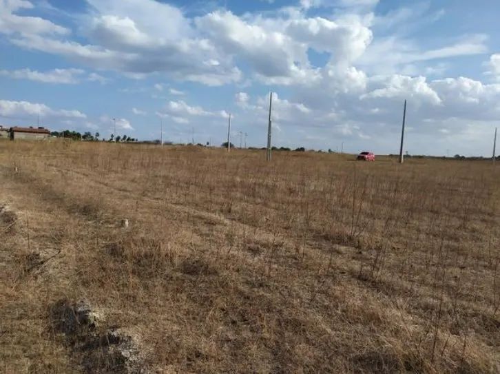 Terreno Loteamento em Presidente Costa e Silva - Mossoró - Foto 4