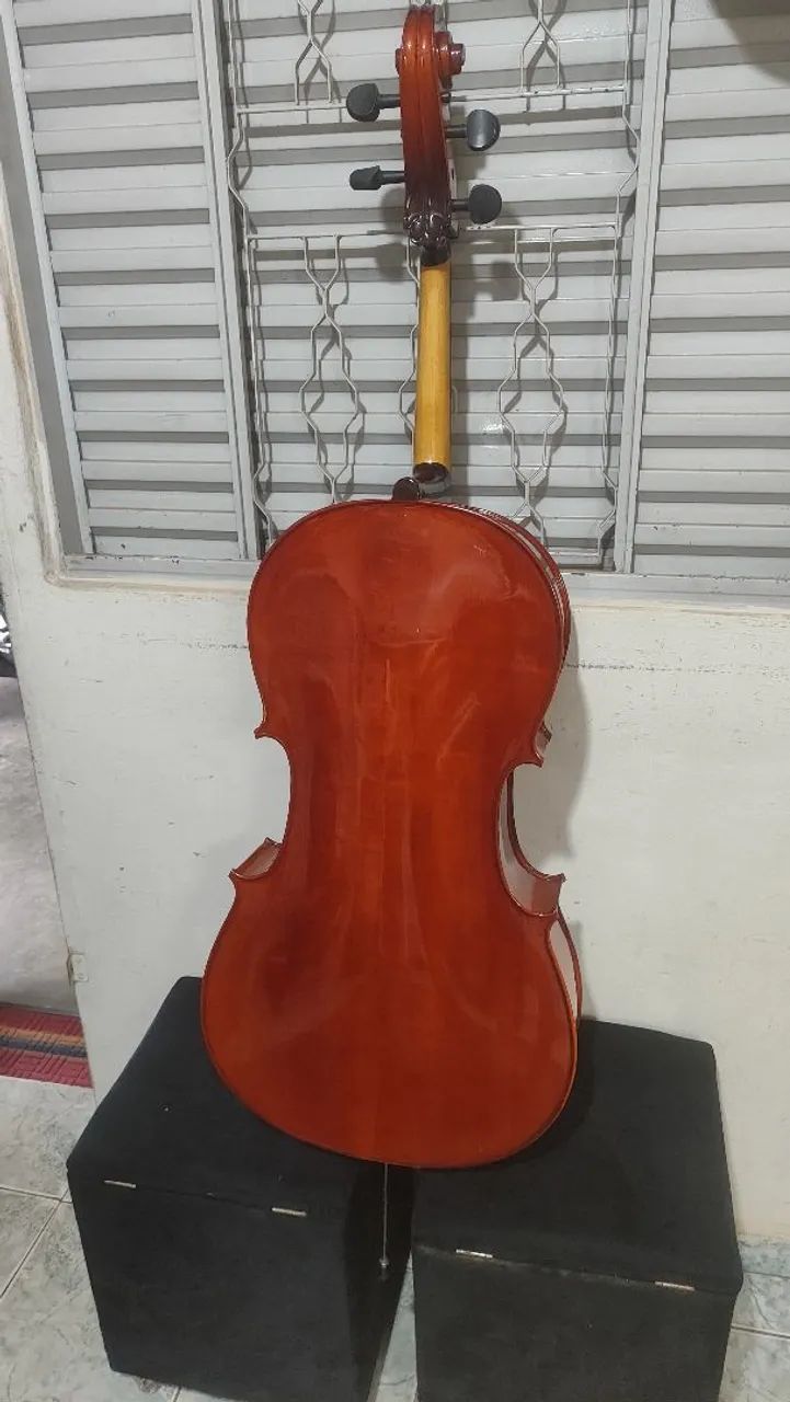 Violoncelo parrot 09  - Foto 4