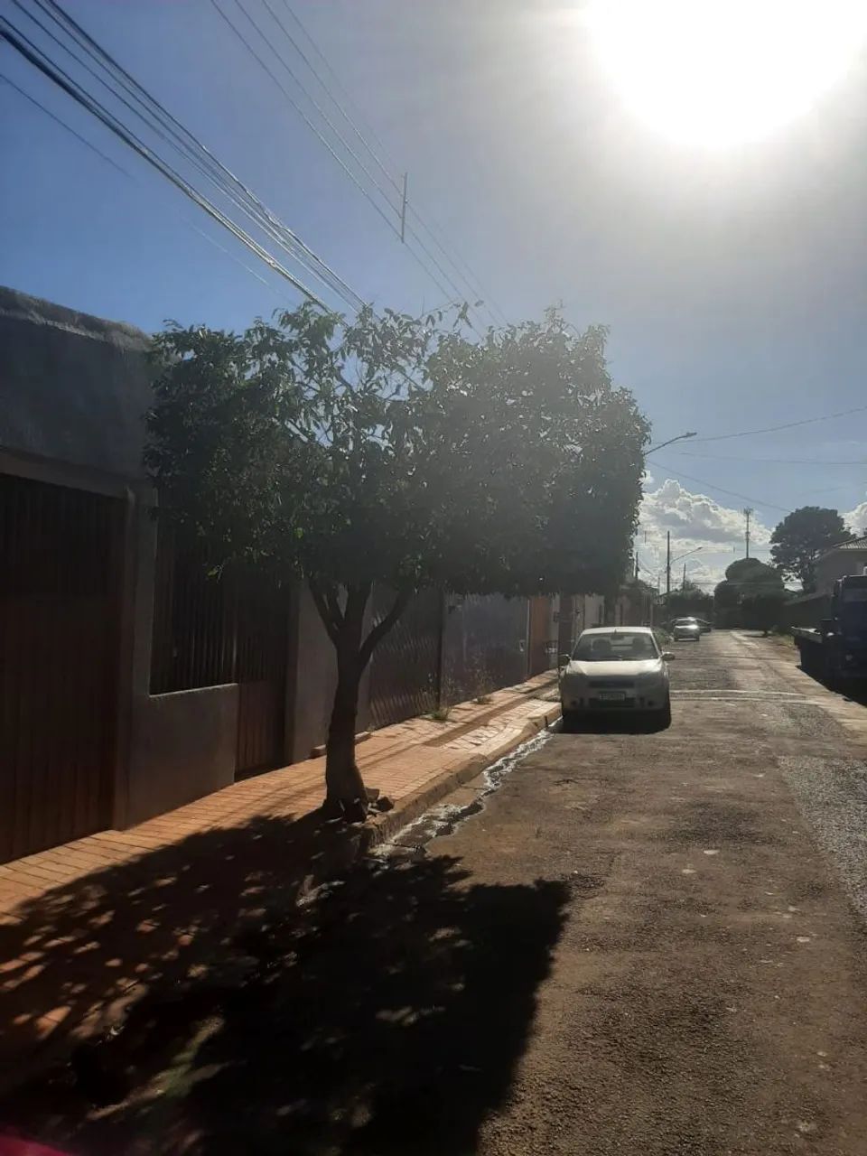 JARDINEIRO / JARDINAGEM  - Foto 3