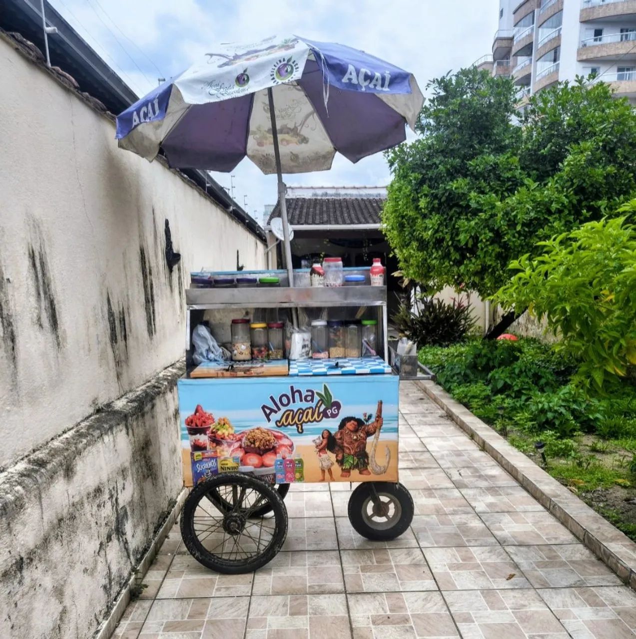 Carrinho de açaí  - Foto 3