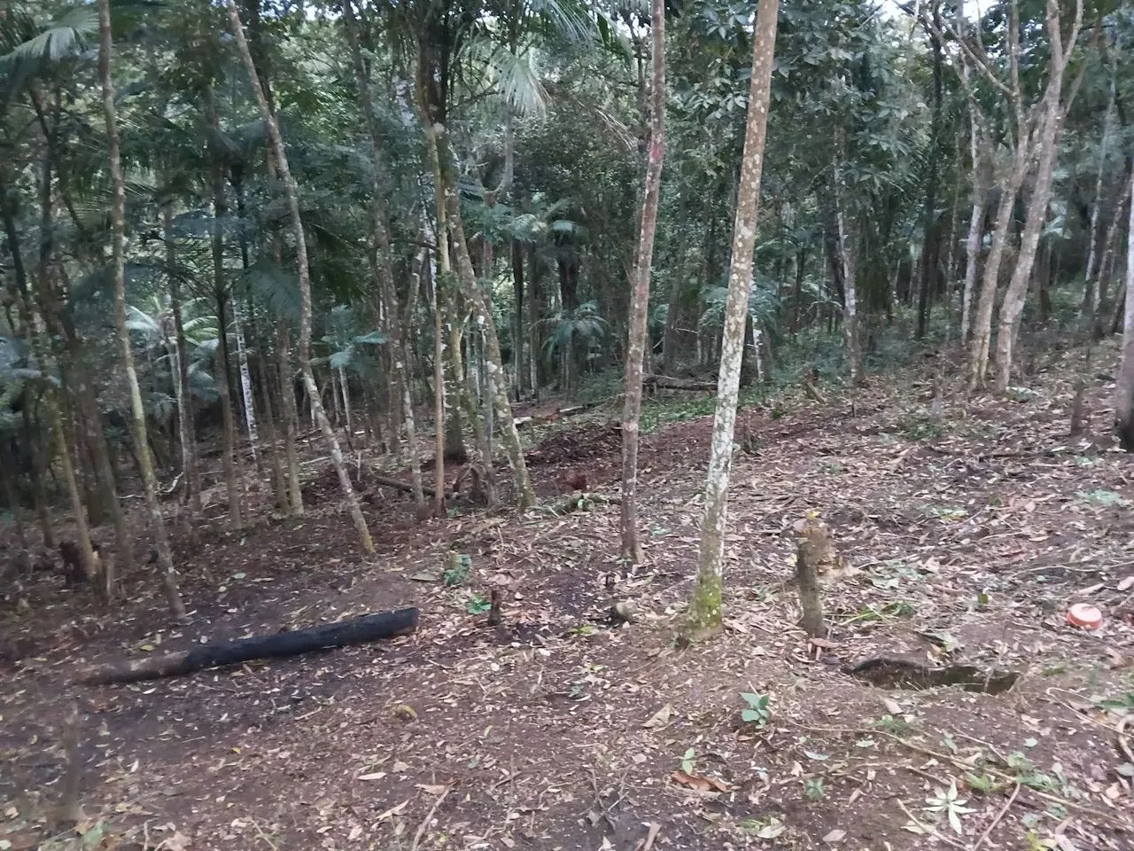 Ótimo lugar  - Foto 3