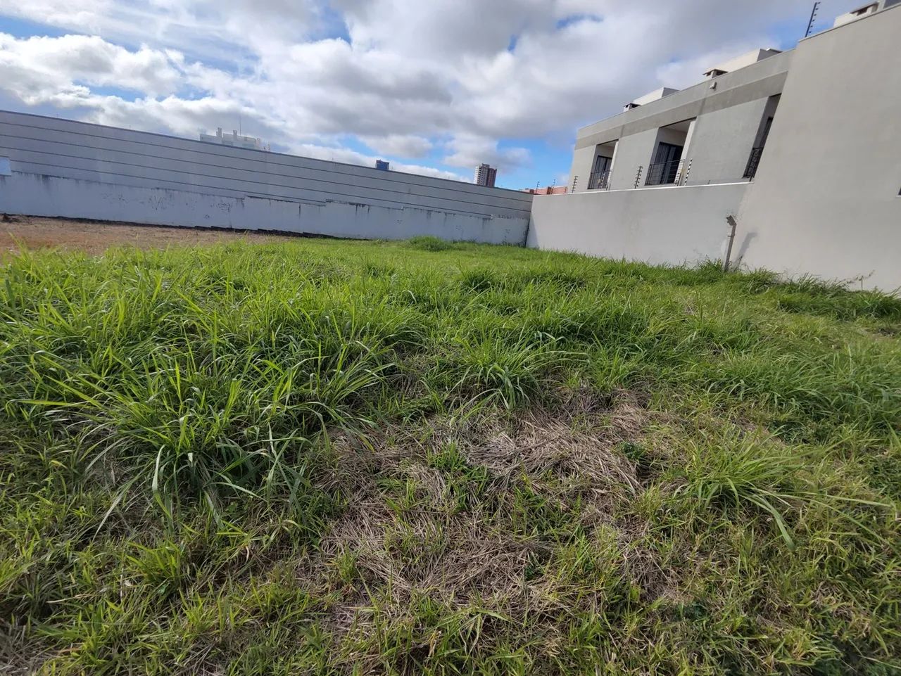 Terreno próximo a rodoviária - Foto 3