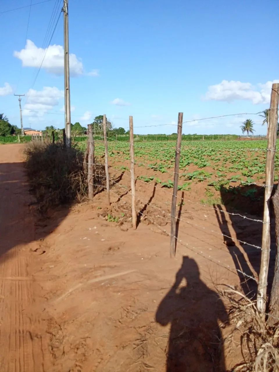 Terreno no sítio oitizeiro a 6km de Arapiraca - Foto 3