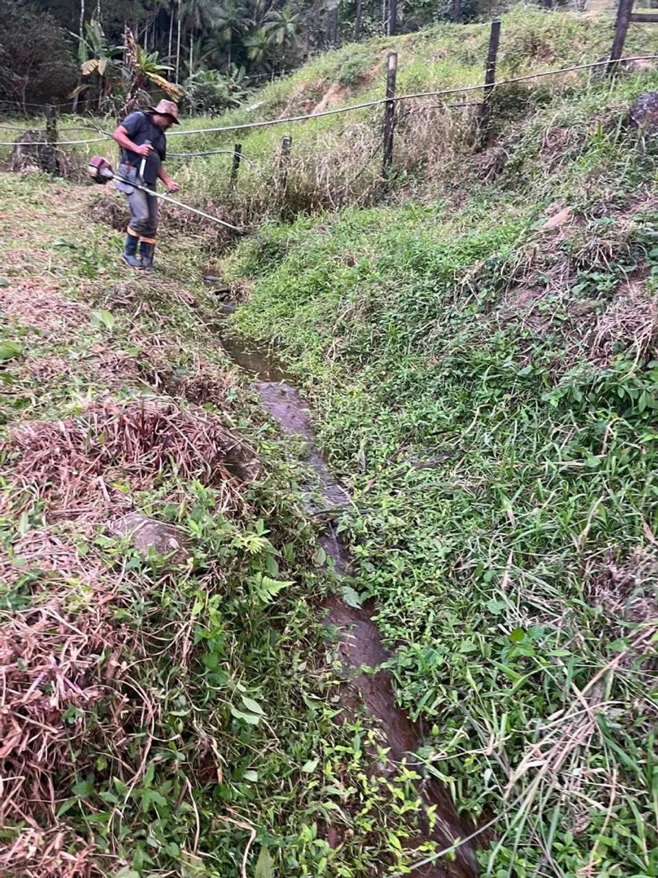 Terreno para Chácara  Três Riachos - Foto 5