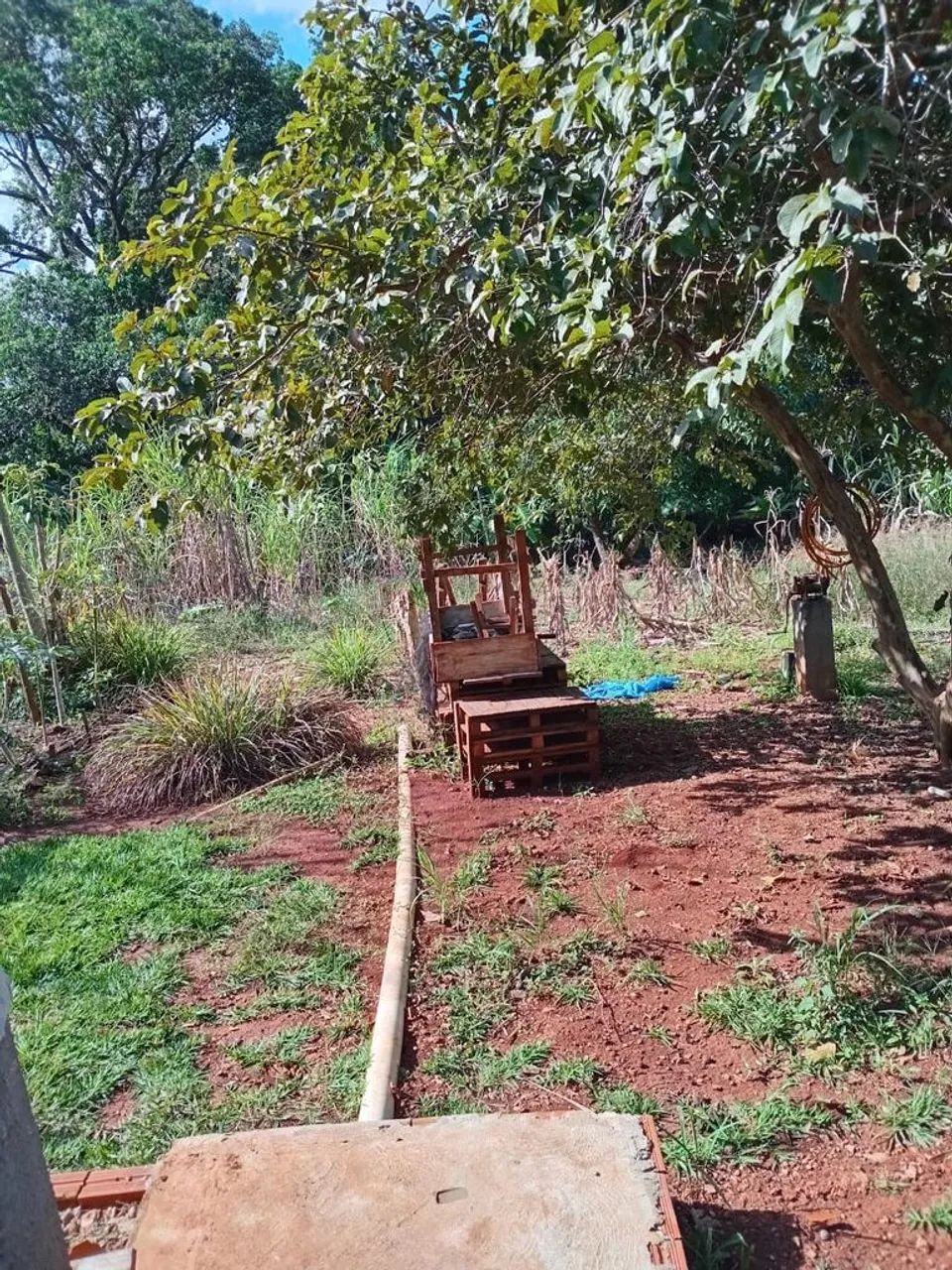 Sitio a venda em Marialva. - Foto 5