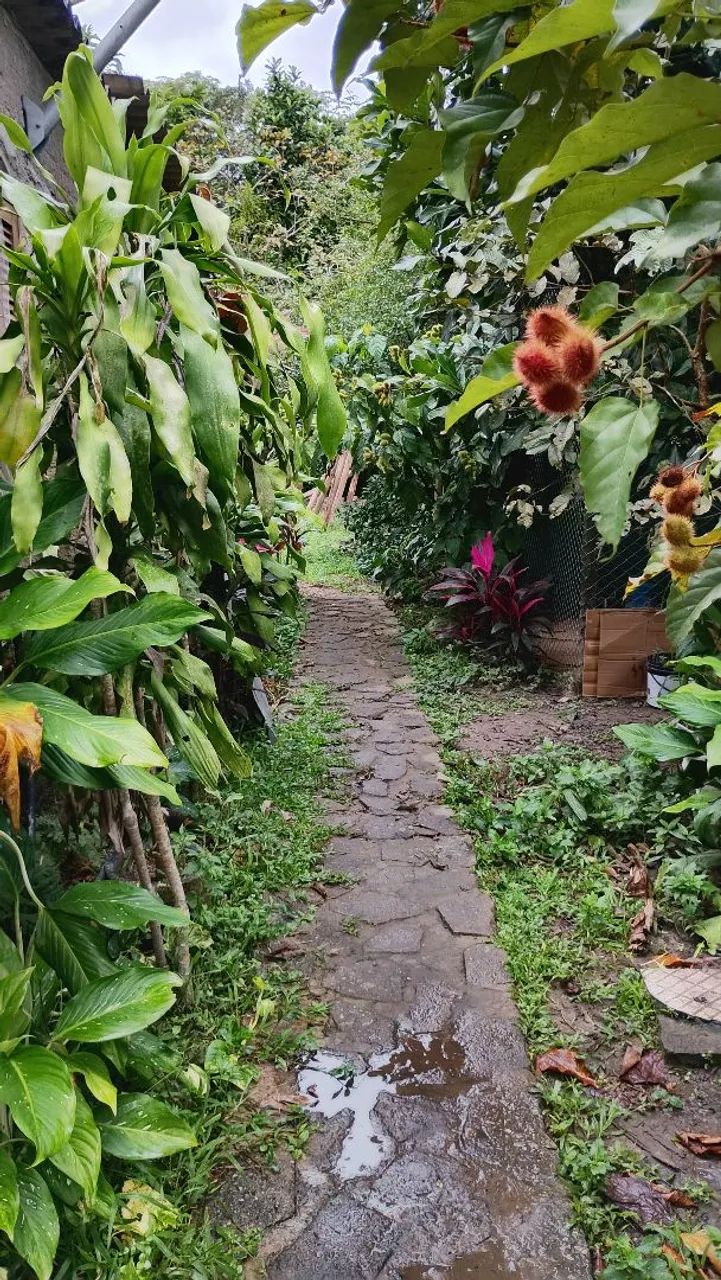 Chácara completa com árvores frutíferas parquinho e lago com tilápias  - Foto 6