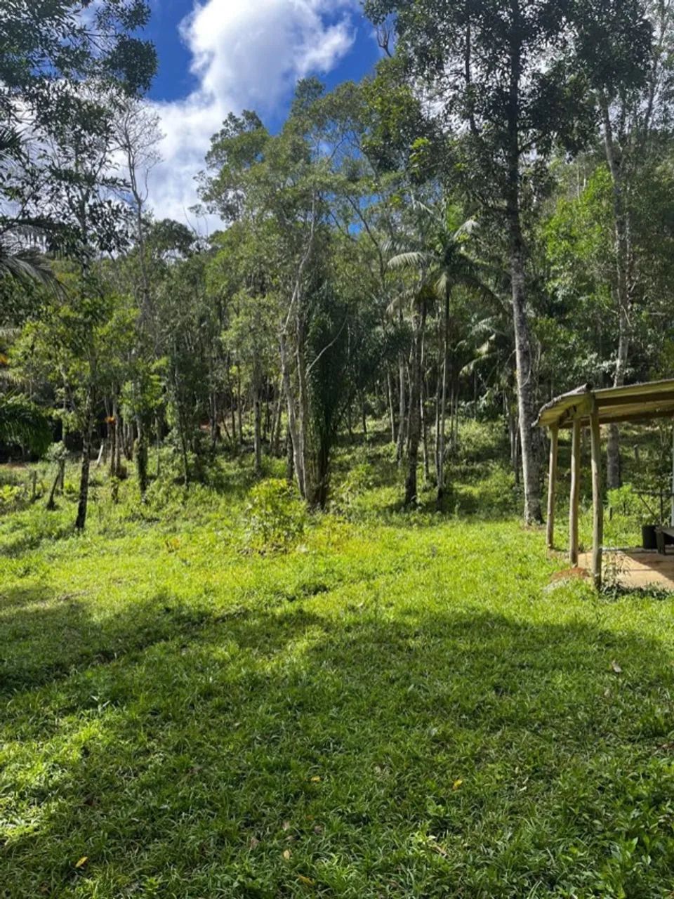 Foto - São Paulo - Pinheiros