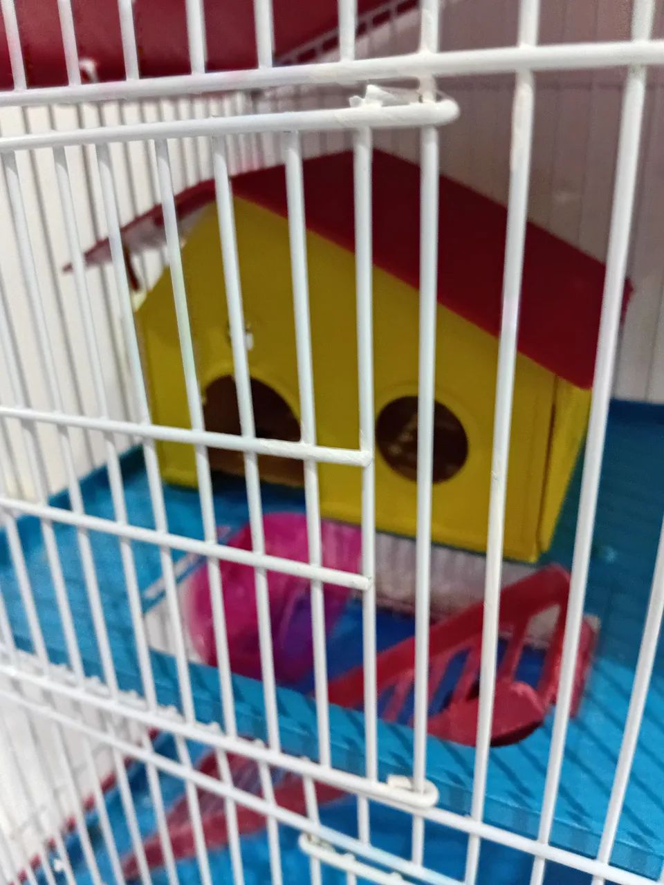 Casa para Hamster - Foto 5