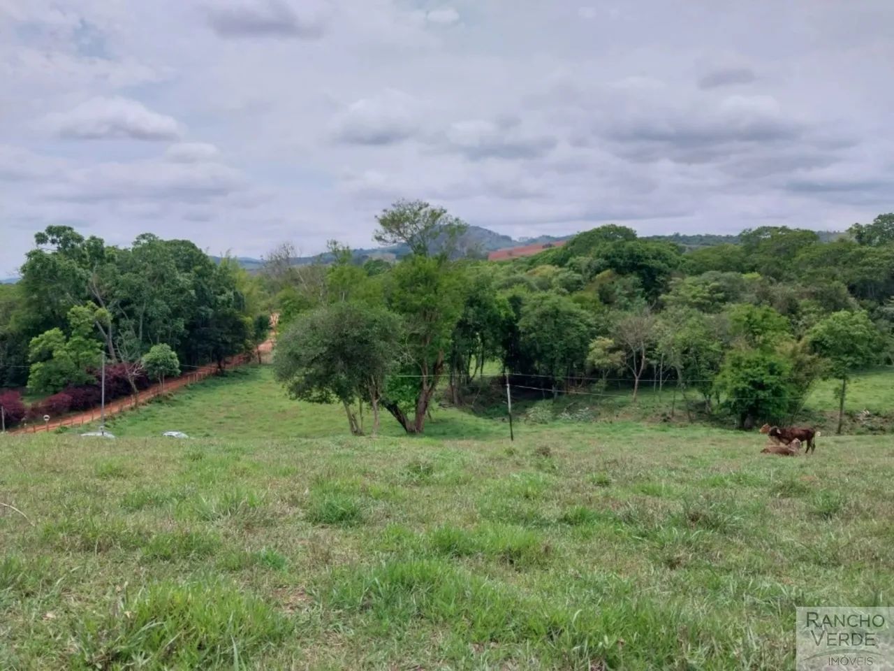 SÍTIO RURAL em PARAISÓPOLIS - MG, RURAL - Foto 4