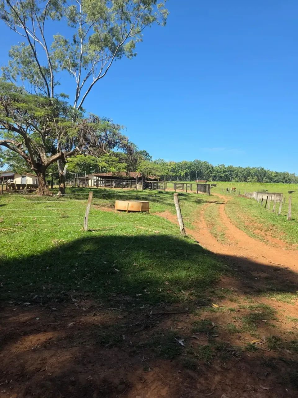 FAZENDA INHUMAS - Foto 3