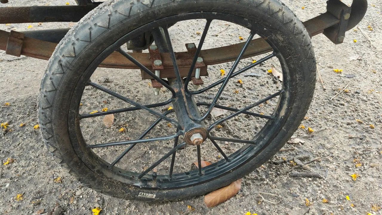 Triciclo de carga - Foto 2