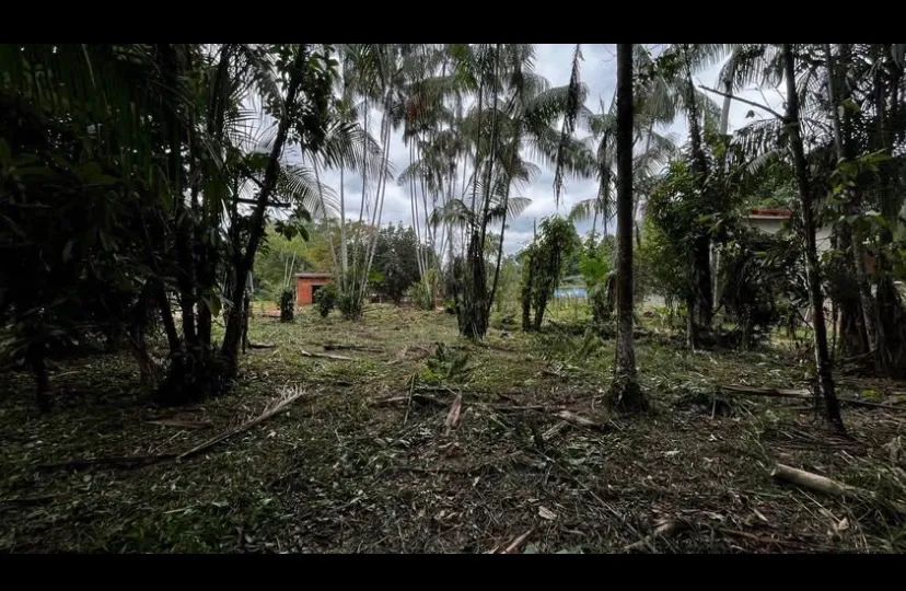 Vendo esse terreno. - Foto 5