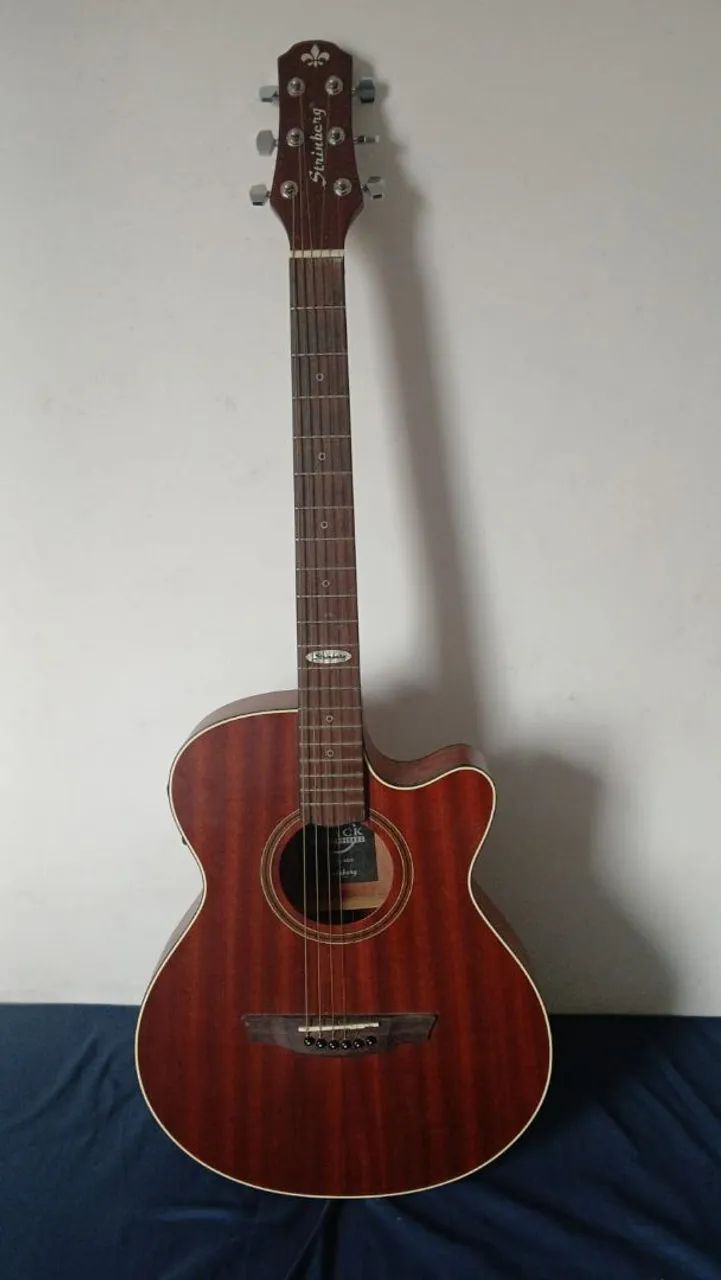 Vendo Violão Steinberg 