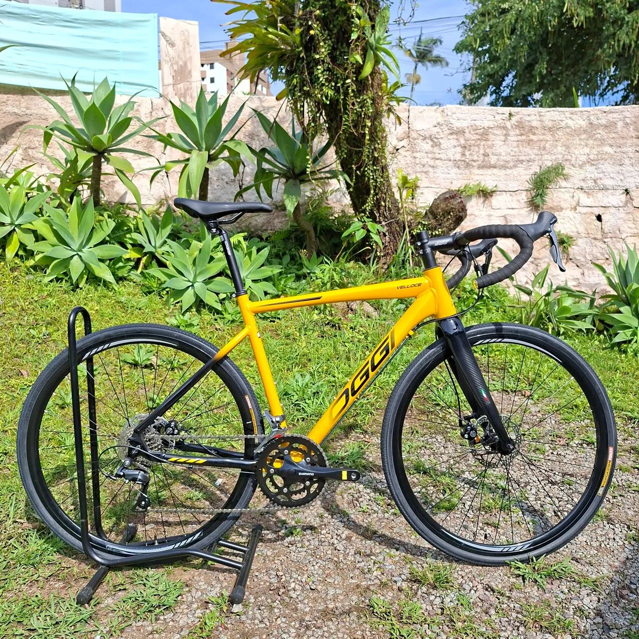 Oggi Velloce Disc