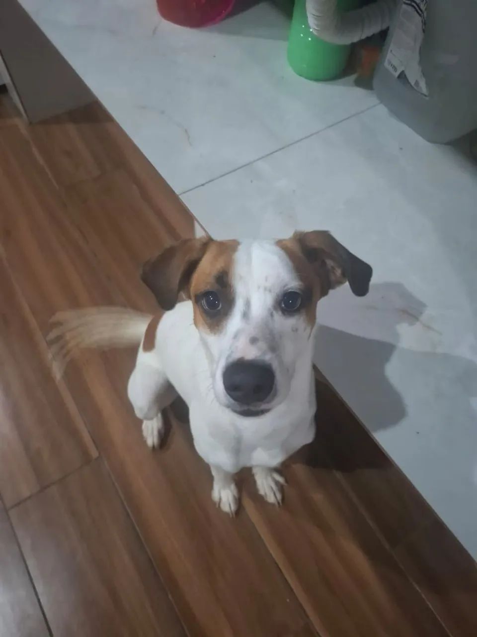 DOAÇÃO  - Foto 5