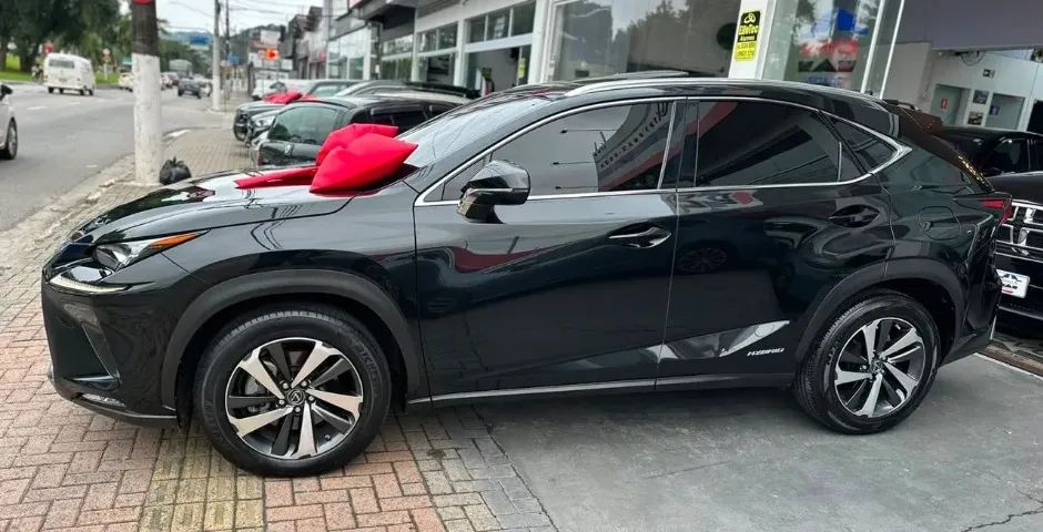 Lexus NX-300 H Luxury 2.5 16V Aut., foto 5 de 15