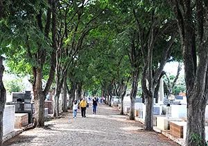 JAZIGO PADRE ANCHIETA