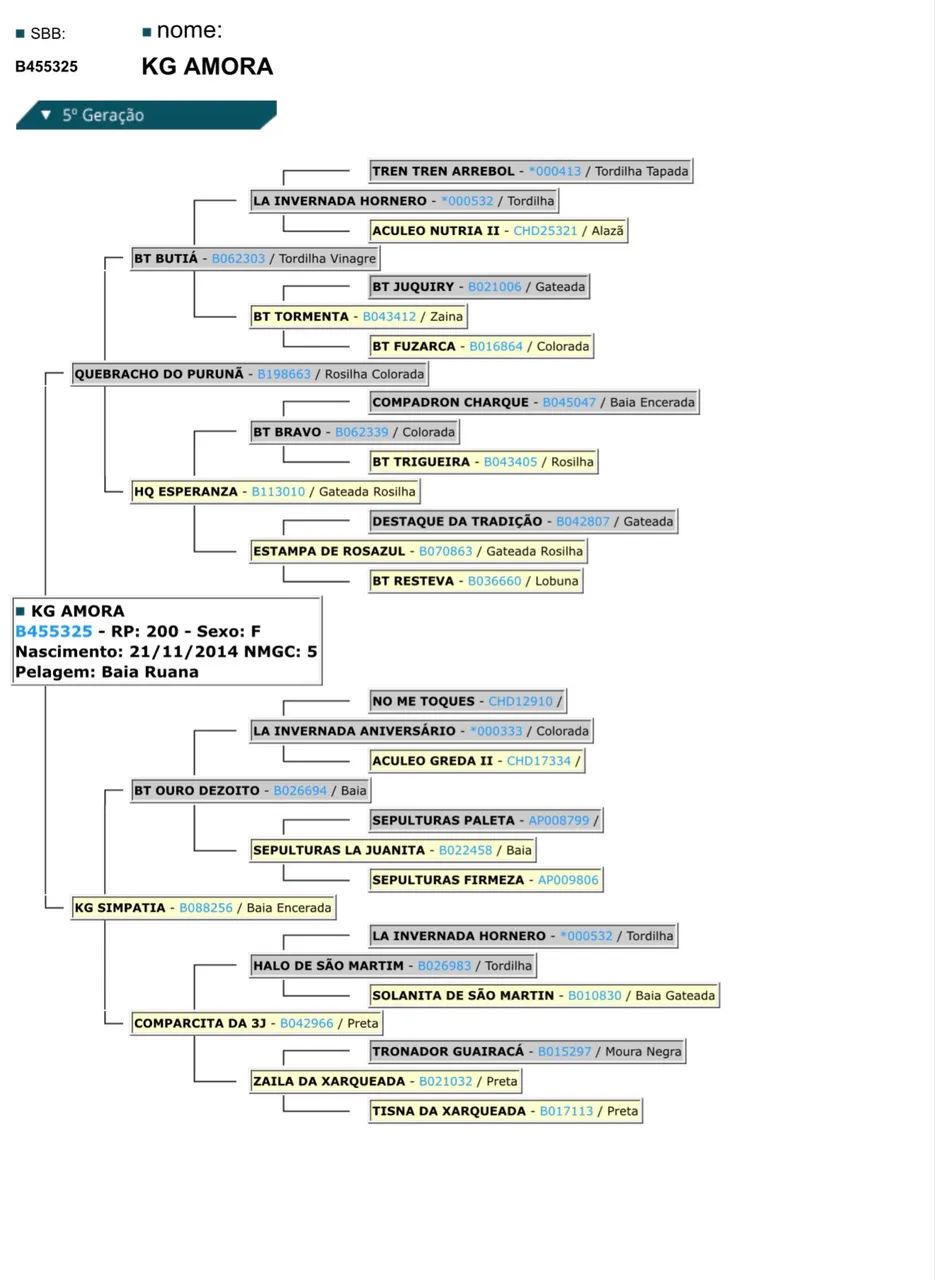 Vende-se Égua baia  - Foto 3