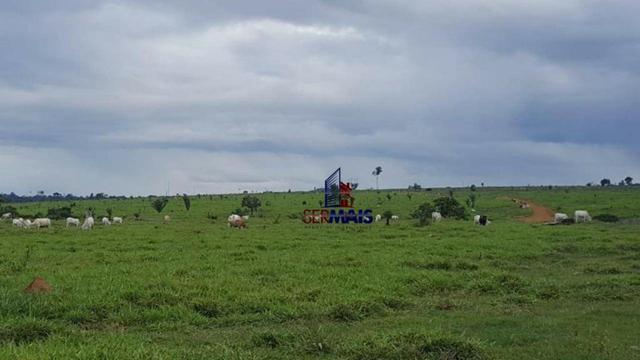 Fazenda Localizada na cidade de Buritis-RO - Foto 10